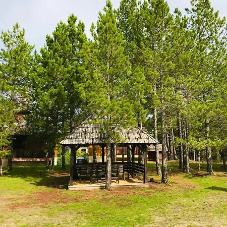 Family 3 * Kaludjerske Bare